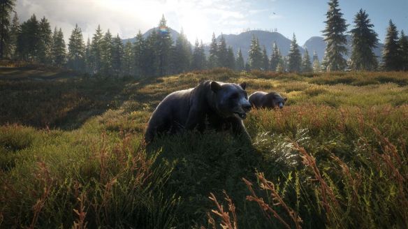 Avalanche Studios Group推出《猎人:荒野的召唤》秘鲁狩猎保护区DLC 多平台同步上线 第6张 Avalanche Studios Group推出《猎人:荒野的召唤》秘鲁狩猎保护区DLC 多平台同步上线 第6张