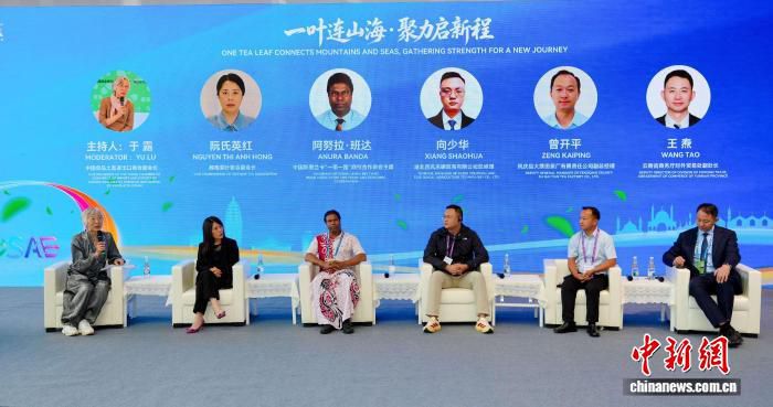 十届南博会,一叶清茶何以架起文明对话之桥 第3张 十届南博会,一叶清茶何以架起文明对话之桥 第3张