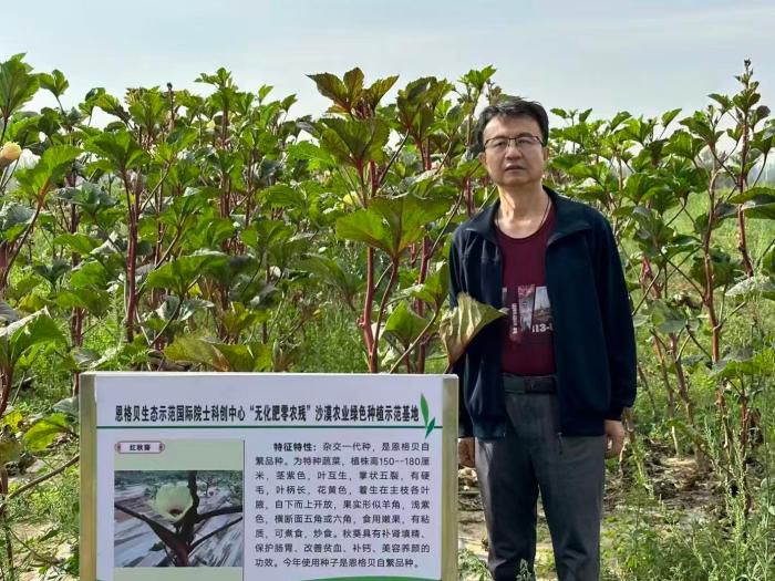 中国沙漠治理经验,如何与世界共享 第5张 中国沙漠治理经验,如何与世界共享 第5张