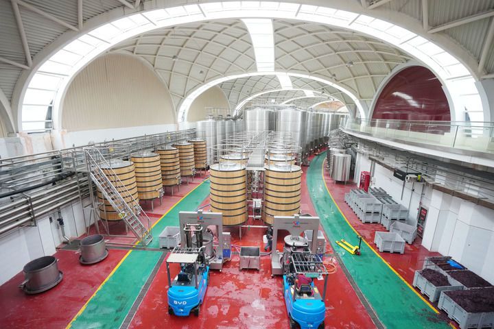 习近平对东西部协作作出重要指示 强调总结运用闽宁协作有益经验 第7张 习近平对东西部协作作出重要指示 强调总结运用闽宁协作有益经验 第7张