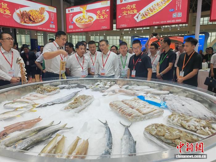 第十二届广东国际水产博览会湛江开幕 4000多家采购商参会  第2张