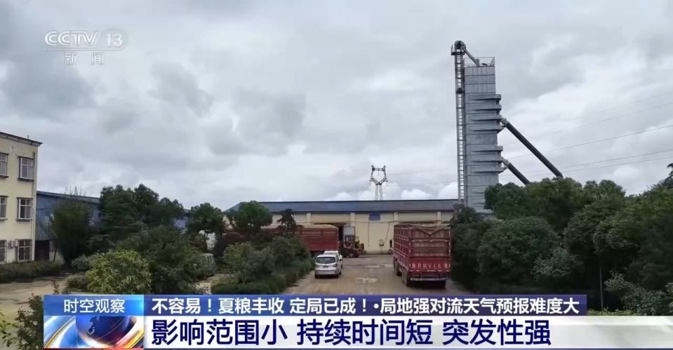 农业农村部：全国夏粮收获过九成 今年夏粮丰收已成定局  第4张