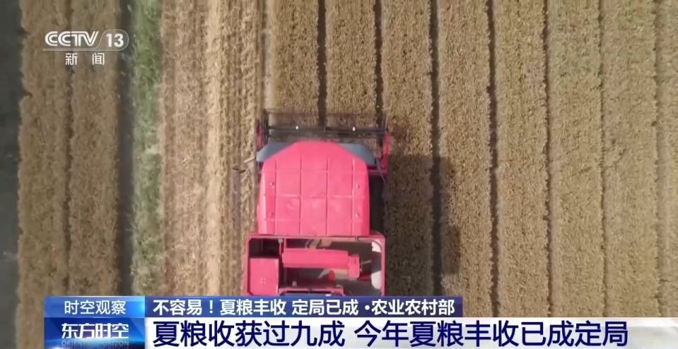 农业农村部：全国夏粮收获过九成 今年夏粮丰收已成定局
