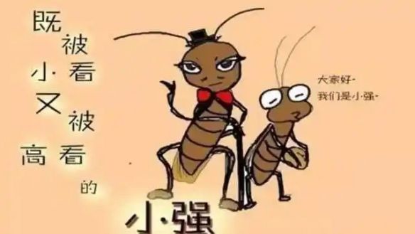 广东韶关一小区近日现数百只蟑螂 爬上人身引发居民恐慌  第2张