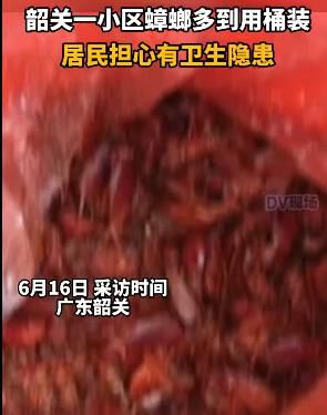 广东韶关一小区近日现数百只蟑螂 爬上人身引发居民恐慌