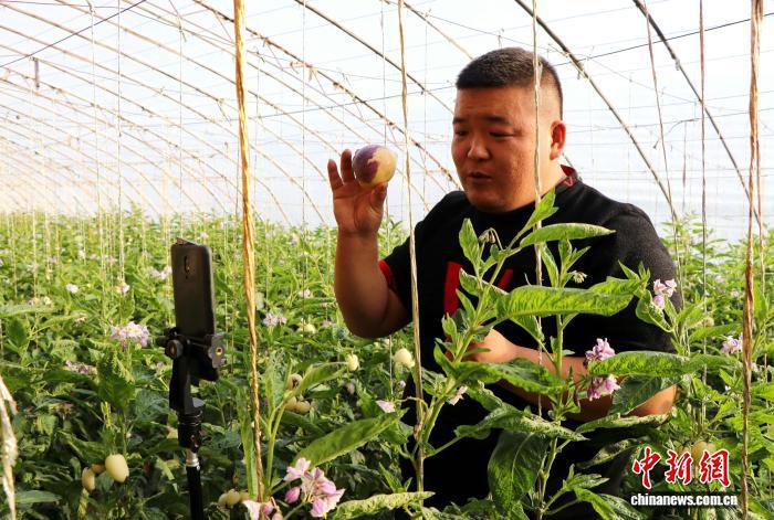 甘肃民勤高端肉羊加工车间满负荷运转 十余款精品鲜肉销往全国 第2张 甘肃民勤高端肉羊加工车间满负荷运转 十余款精品鲜肉销往全国 第2张