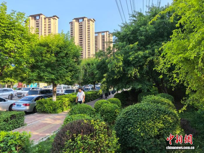 “碳惠吉林”正式上线运行 居民低碳行为可累积积分兑换权益  第1张