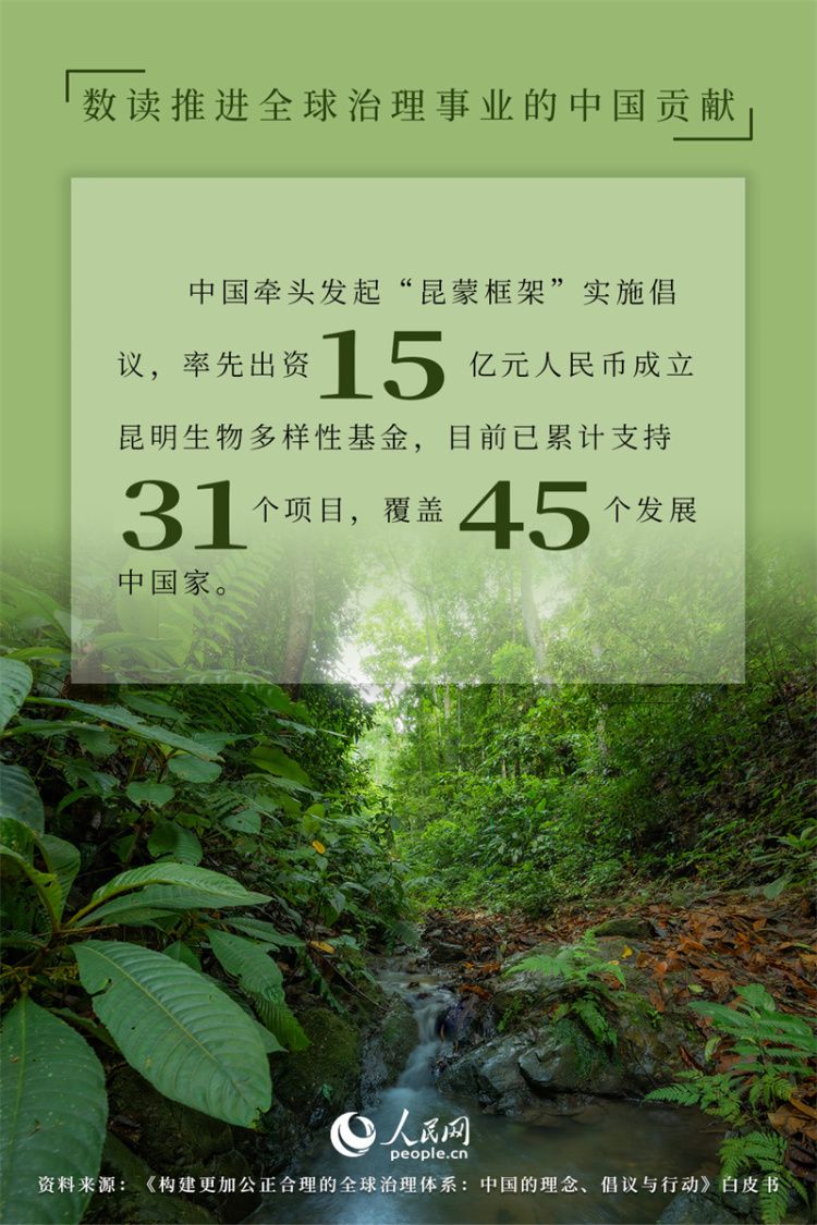 中国坚定不移走多边主义道路 推动构建人类命运共同体  第12张