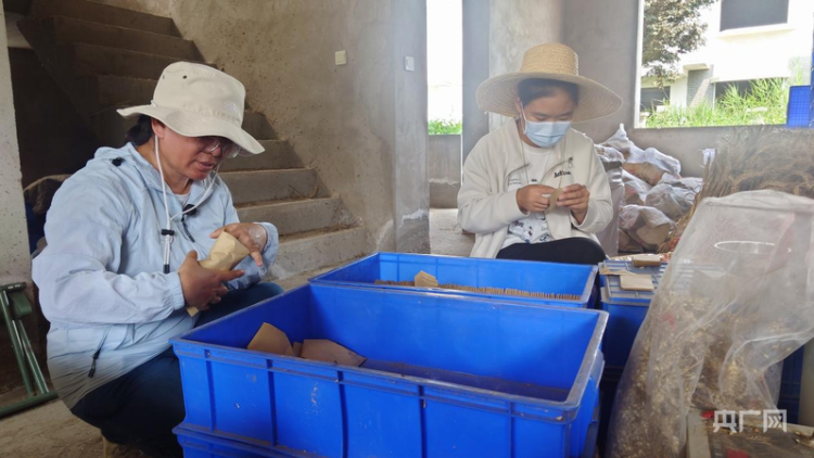 河南8500多万亩冬小麦收获完毕 农业高校试验基地进入样本处理阶段 第3张 河南8500多万亩冬小麦收获完毕 农业高校试验基地进入样本处理阶段 第3张