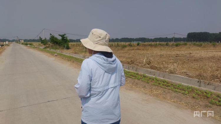 河南8500多万亩冬小麦收获完毕 农业高校试验基地进入样本处理阶段 第7张 河南8500多万亩冬小麦收获完毕 农业高校试验基地进入样本处理阶段 第7张