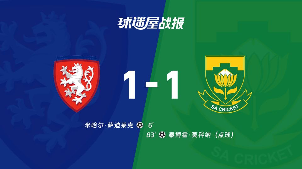 世界杯：捷克主场1-1战平南非 米哈尔·萨迪莱克与泰博霍·莫科纳各入一球