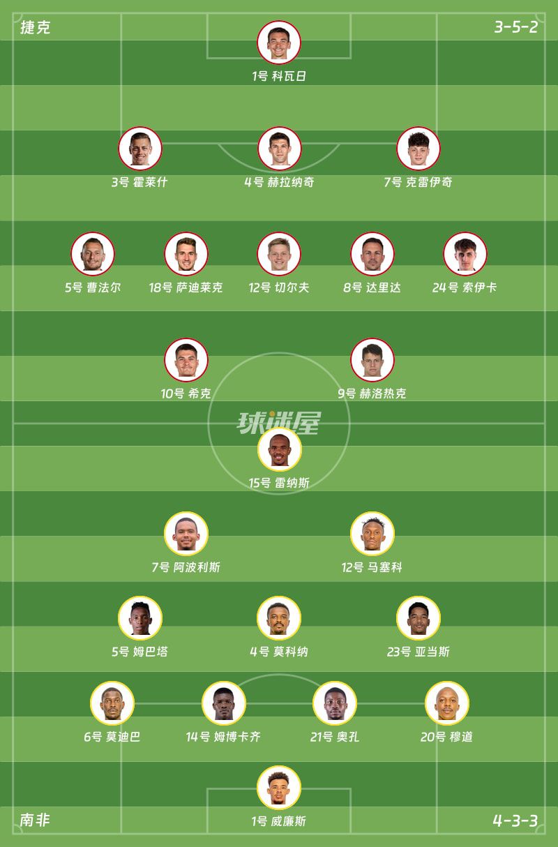 世界杯：捷克主场1-1战平南非 米哈尔·萨迪莱克与泰博霍·莫科纳各入一球  第2张