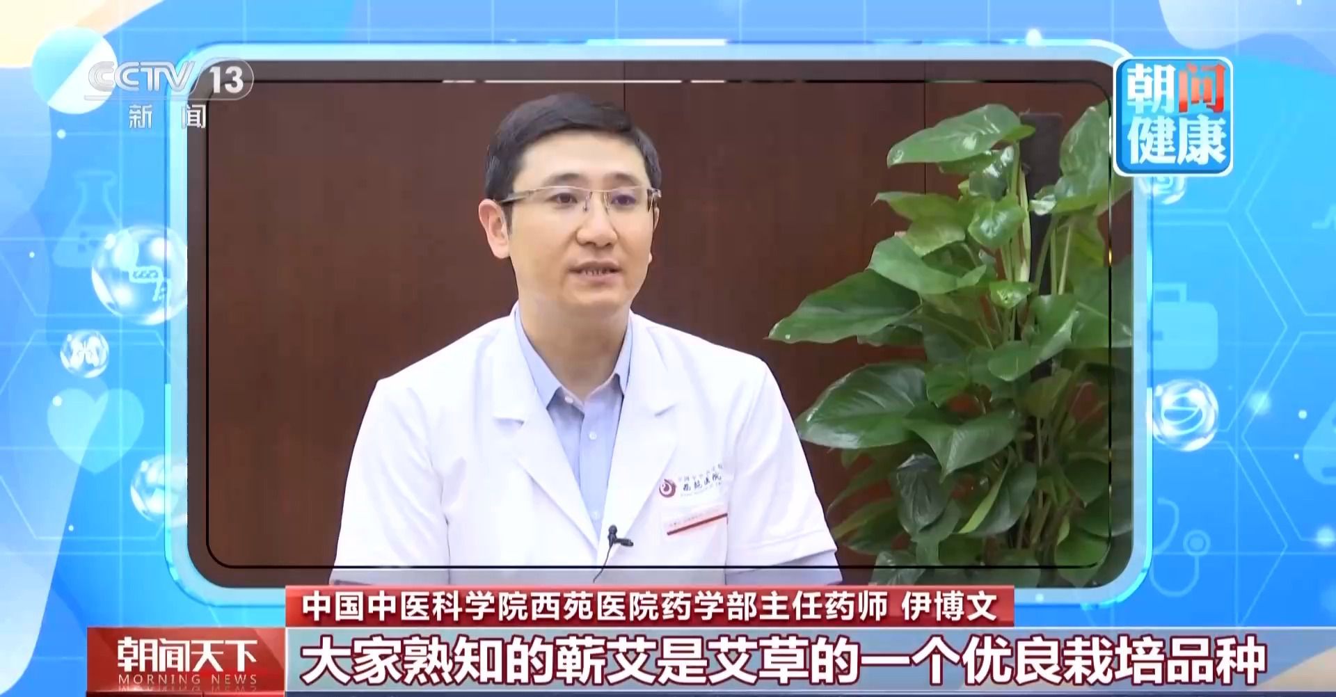 端午插艾习俗再引关注 专家提醒分清艾草与蒿草
