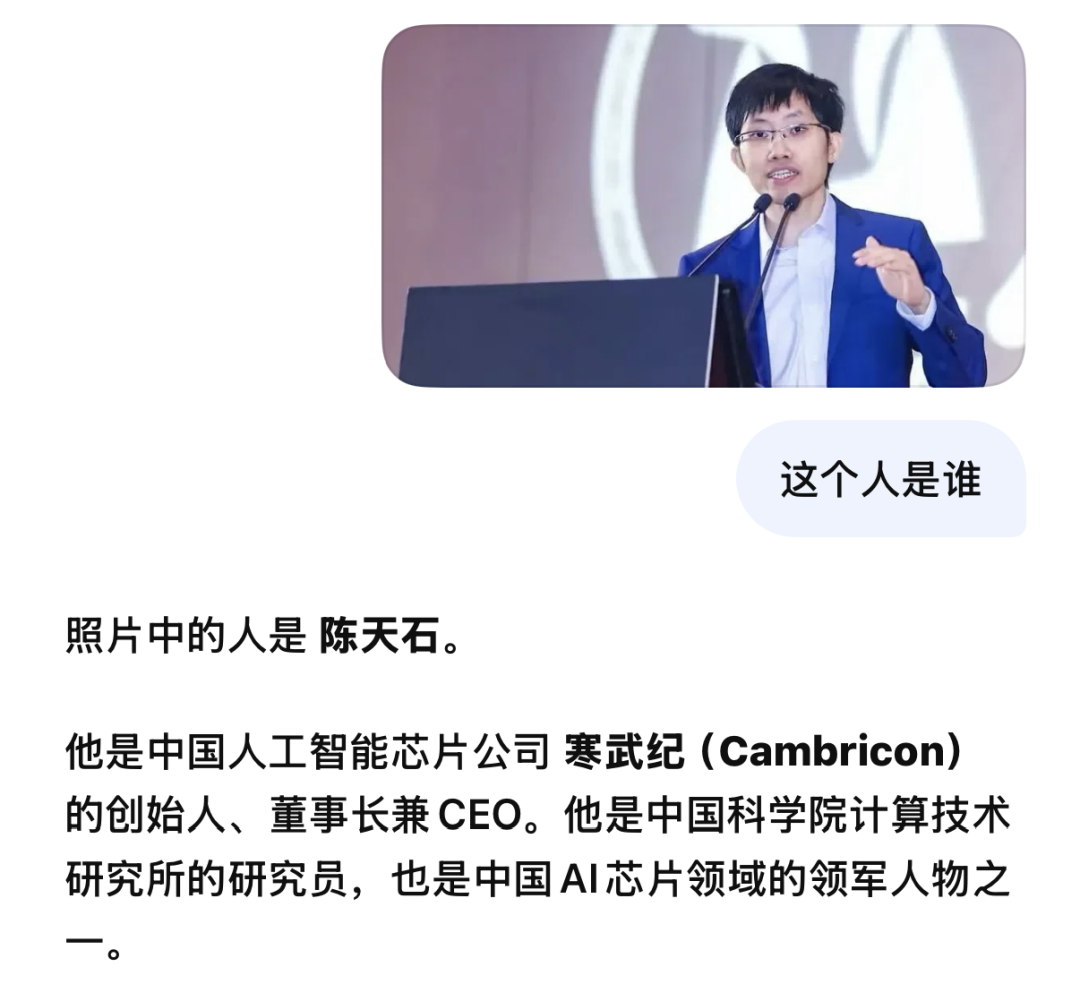DeepSeek向更多用户开放识图模式 聚焦图片分析与理解 第2张 DeepSeek向更多用户开放识图模式 聚焦图片分析与理解 第2张