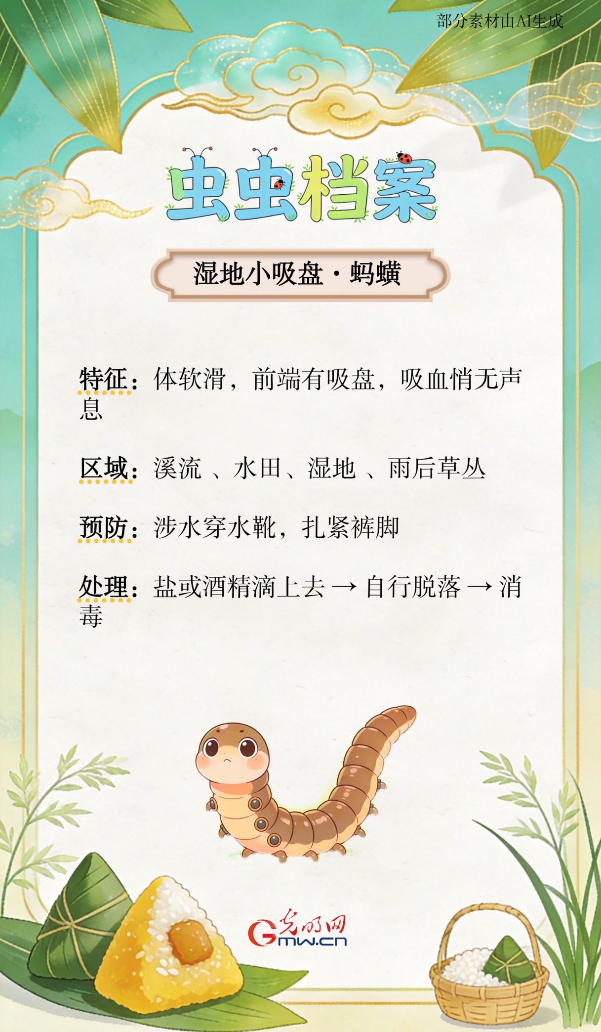 端午出游防虫指南:掌握科学方法安心亲近自然 第4张 端午出游防虫指南:掌握科学方法安心亲近自然 第4张