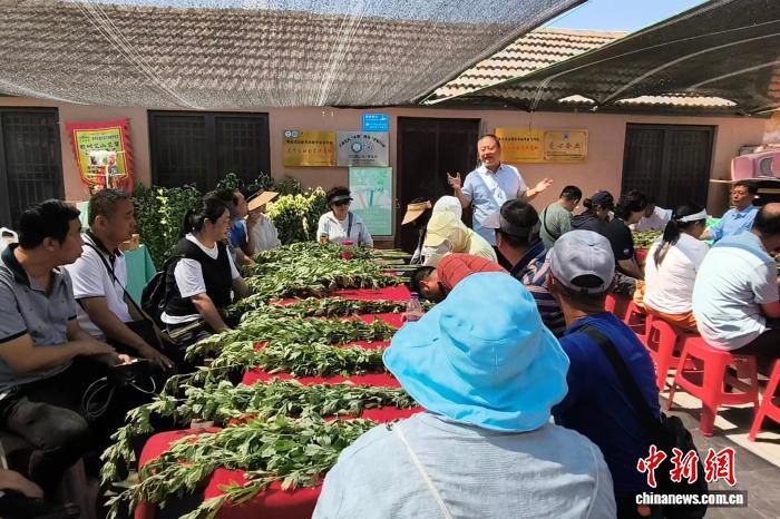 青岛端午艾草花束走俏 年轻消费者为节日仪式感买单