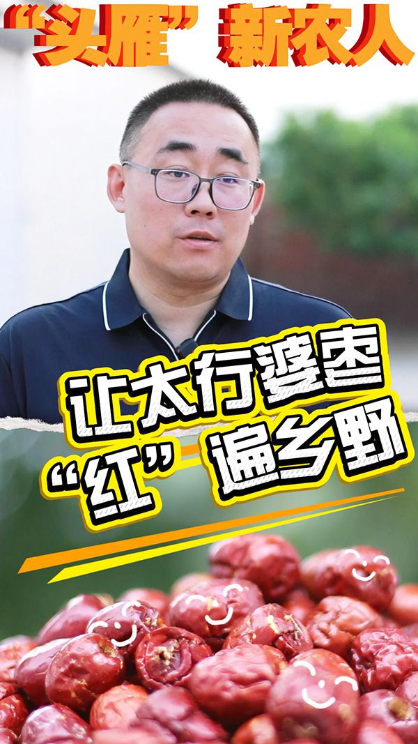 卢彦鸽：硕士毕业获全国劳动模范 扎根太行山推动婆枣产业升级