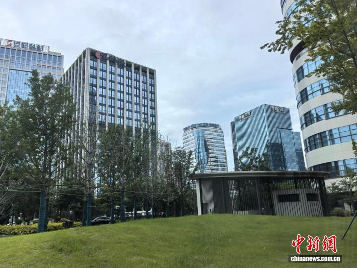 长三角端午假期首日遭遇暴雨 浙江72乡镇累计雨量超50毫米  第1张