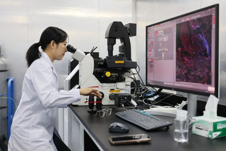 中国科学院天津工生所展示二氧化碳合成淀粉技术新路径 第2张 中国科学院天津工生所展示二氧化碳合成淀粉技术新路径 第2张