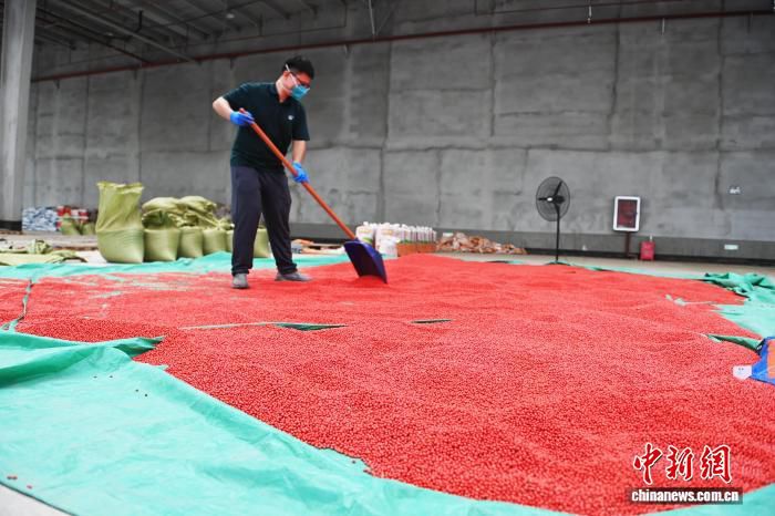 安徽宿州大豆播种引入北斗导航 农机手借助显示屏精准作业 第3张 安徽宿州大豆播种引入北斗导航 农机手借助显示屏精准作业 第3张
