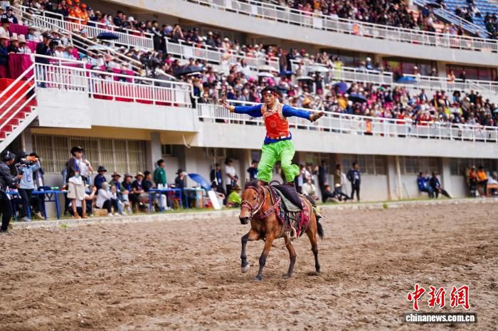 2026年迪庆·香格里拉赛马会启幕，数百骑手雪域高原竞逐
