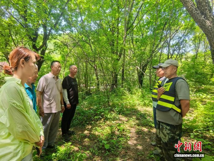 吉林南沟村农民集体“换装” 数十人从滑雪教练转做山地向导  第1张