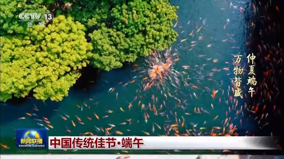 仲夏端午，万物皆盛  第2张