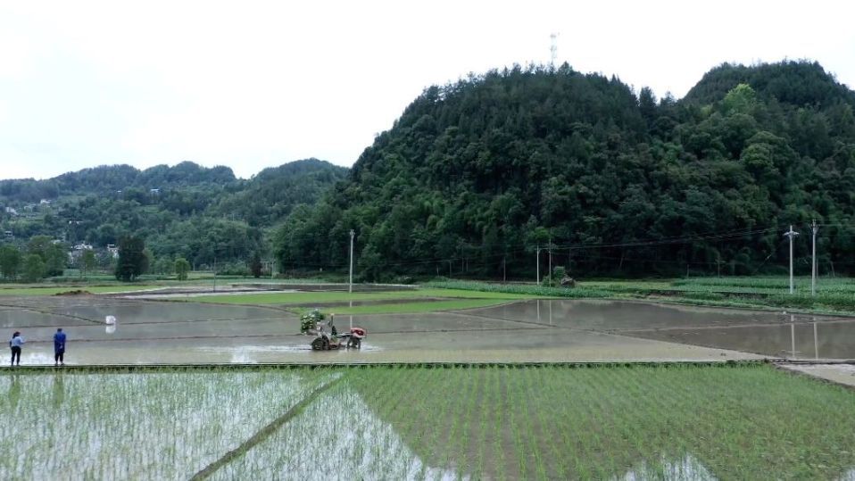 陕西延安：绿了山川 富了百姓  第3张