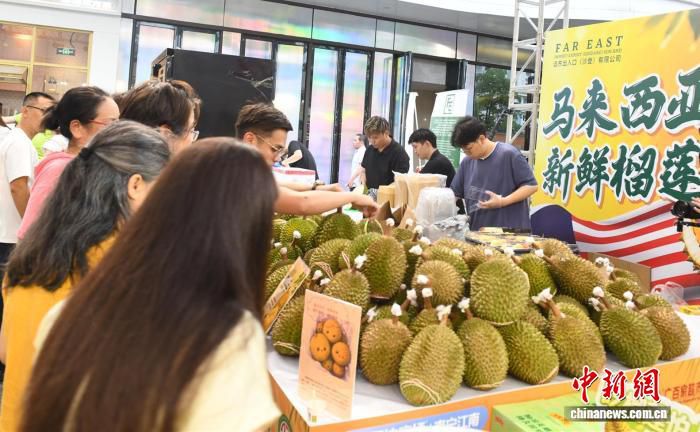 鑫荣懋果业集团今年东盟水果进口额突破10亿元  第3张