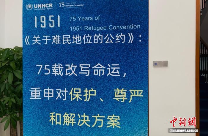 联合国难民署数据显示全球流离失所人数超1.17亿 6月20日迎来世界难民日