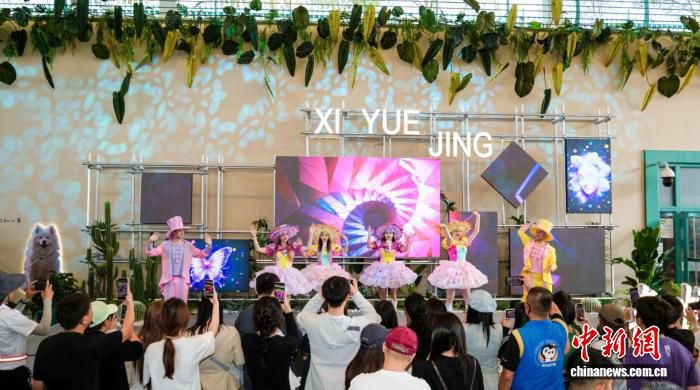 哈尔滨极地公园推出“喜悦境”创意休闲空间