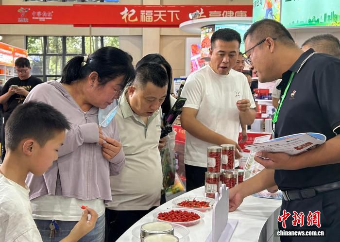 第九届枸杞产业博览会6月21日在宁夏中宁开幕 500余人参会  第2张