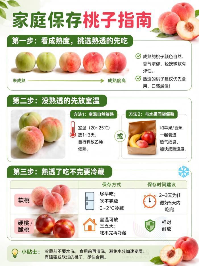 6月桃子上市选购与保存指南：三看一摸一闻法
