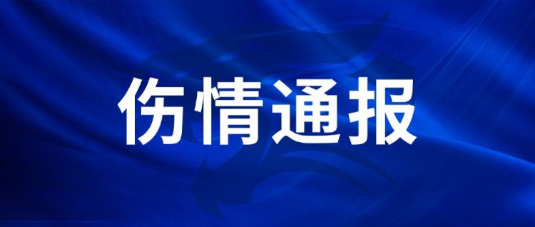 武汉三镇客场战青岛红狮，王毅陈哲超确认伤情及恢复时间