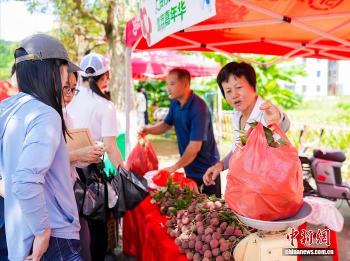 汕头雷岭荔枝连续23年畅销海外 第十九届文化旅游季启幕