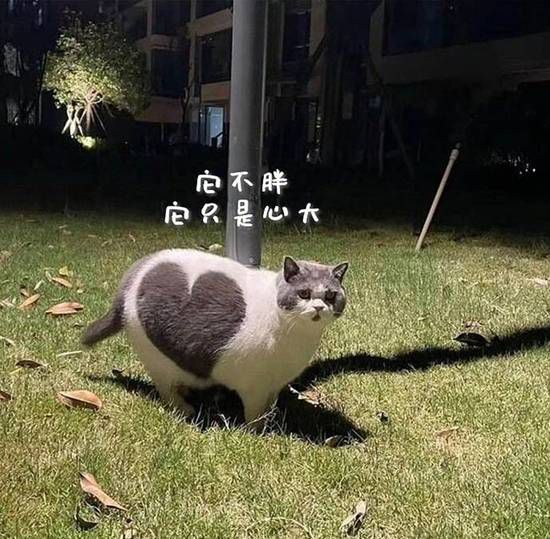 网页分页导航支持键盘左右键翻页  第3张