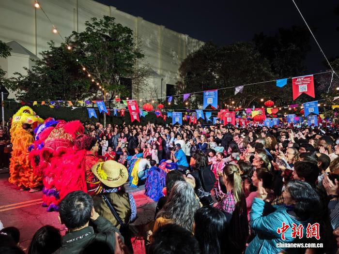 巴西圣保罗州立大学孔子学院举办中巴节日融合嘉年华 逾千名民众参与