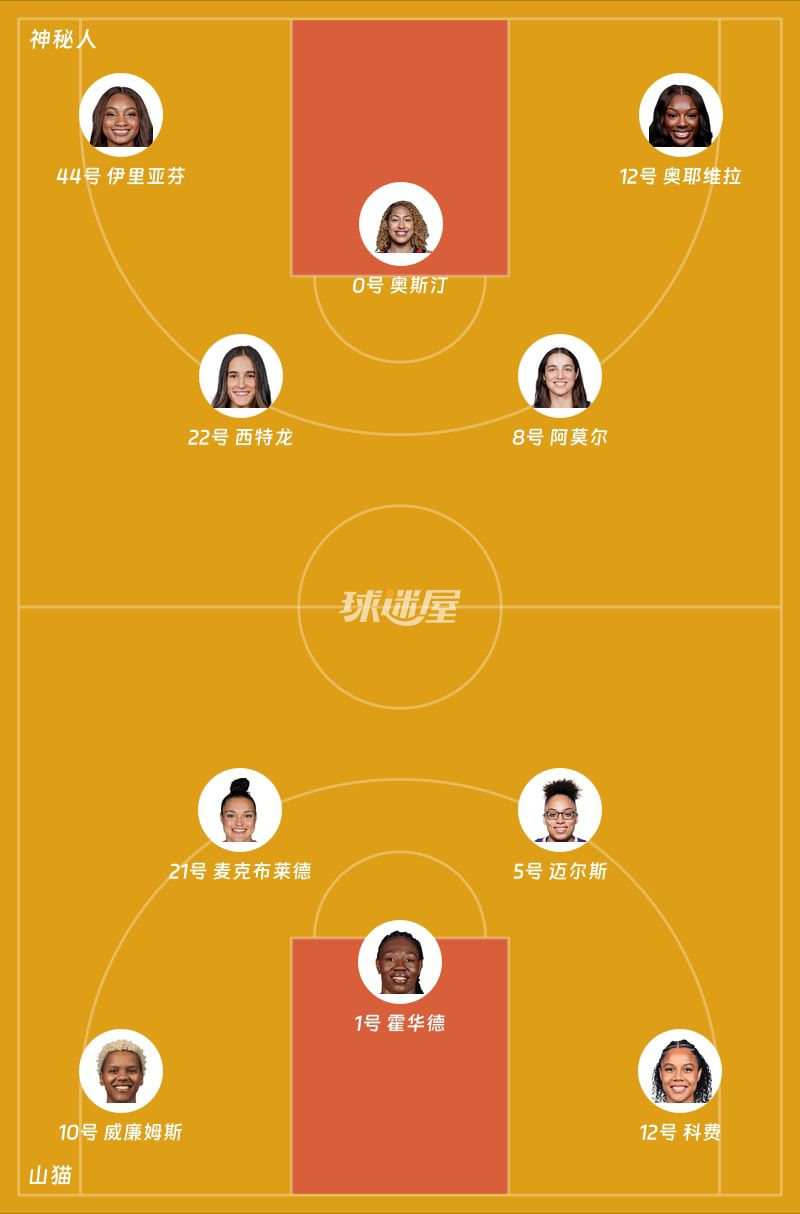 WNBA常规赛山猫主场战神秘人 首节战成22平  第2张