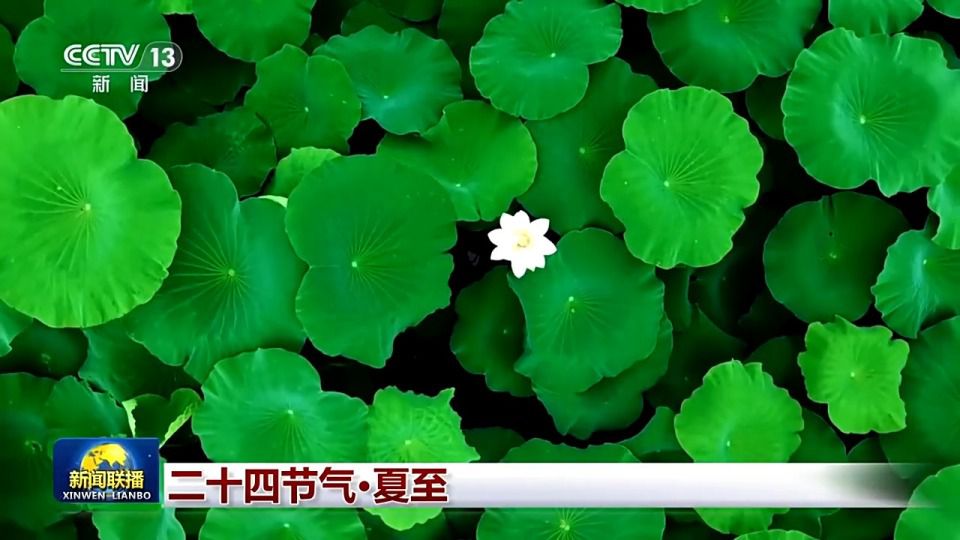 夏至已至：盛夏开启，感受自然之美与文化意蕴  第4张