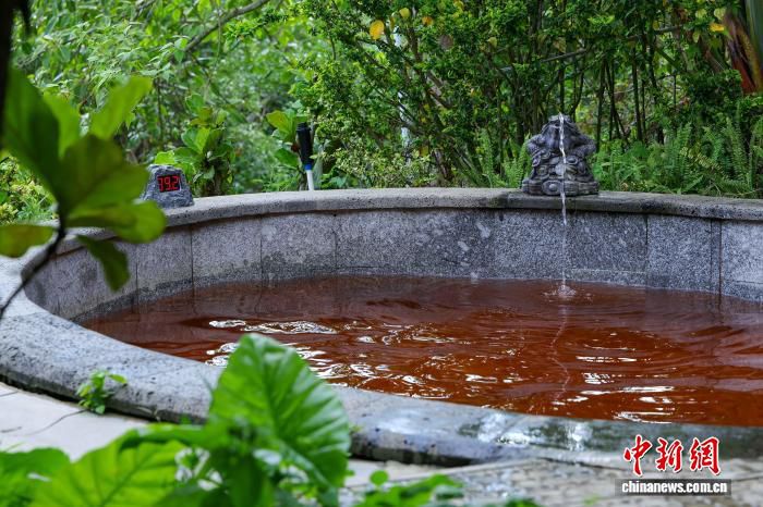 俄罗斯游客钟情海南陵水热带温泉 生态环境成吸引力