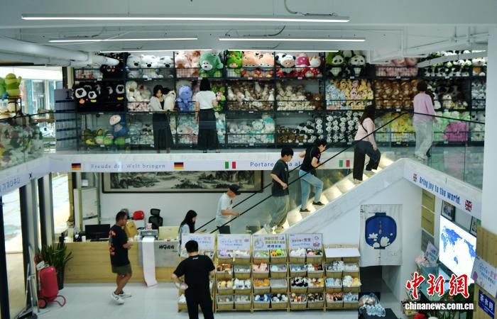白沟新城摩宠箱包公司年产宠物包约60万只 逾八成产品出口海外  第2张