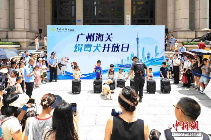 广州海关前5月查获各类毒品超540公斤