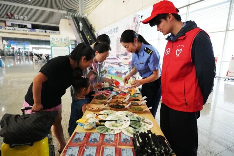 郑州局集团公司G2693次列车于6月16日开展端午主题活动  第4张