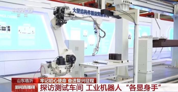 牢记初心使命 奋进复兴征程丨赓续沂蒙精神 老区焕发新时代活力  第9张
