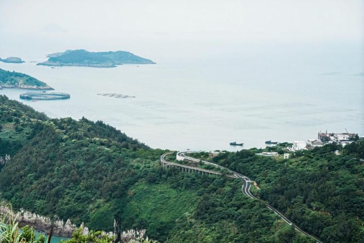 大陈岛生态面貌更新为绿色海岛