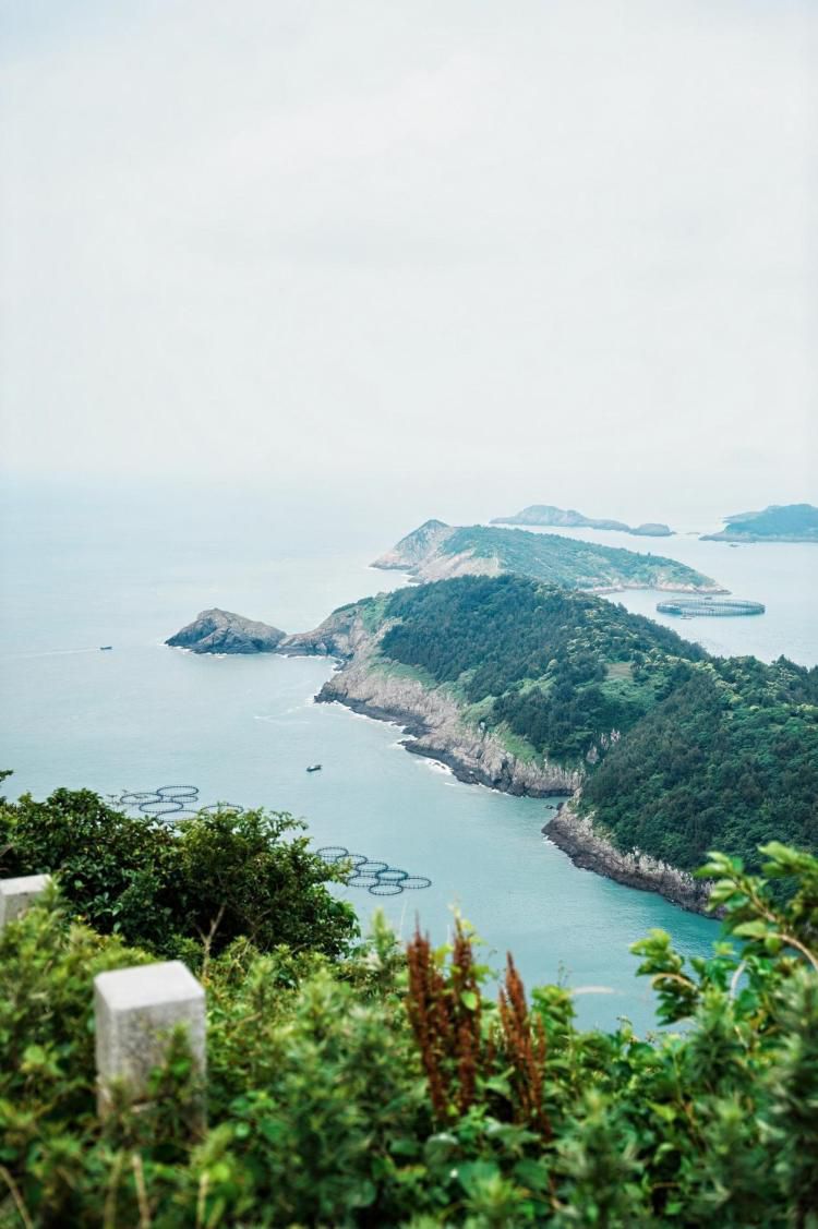 大陈岛生态面貌更新为绿色海岛  第2张