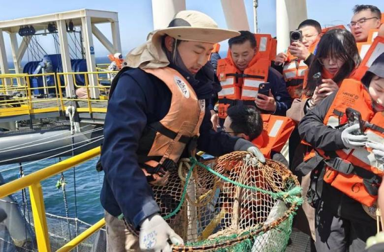 山东施行全国首部海上牧场条例 自贸区率先探索养殖用海改革  第3张
