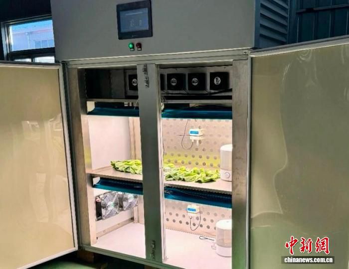 江南大学郭亚团队推出AI增强叶绿素荧光检测仪器 助力破解植物“荧光密码”  第2张