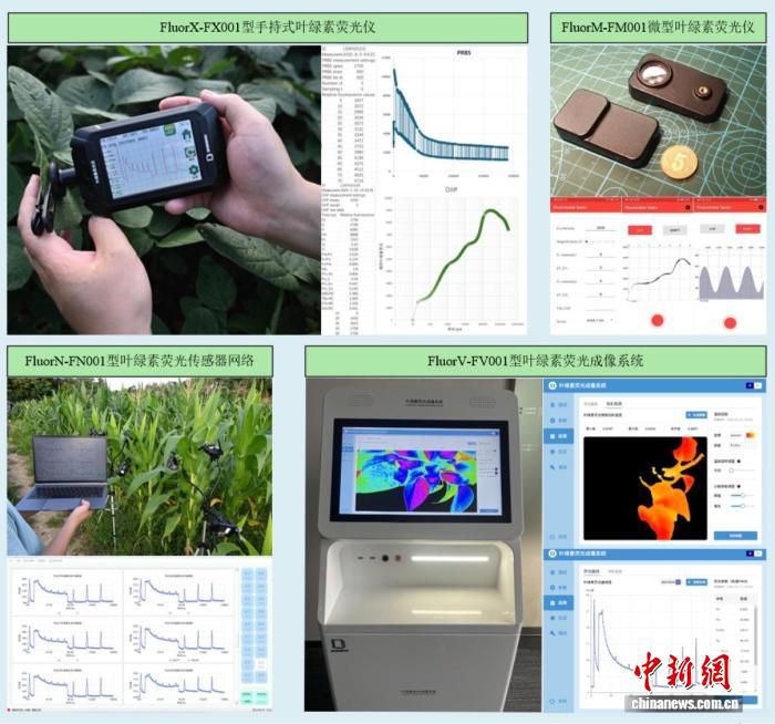江南大学郭亚团队推出AI增强叶绿素荧光检测仪器 助力破解植物“荧光密码”