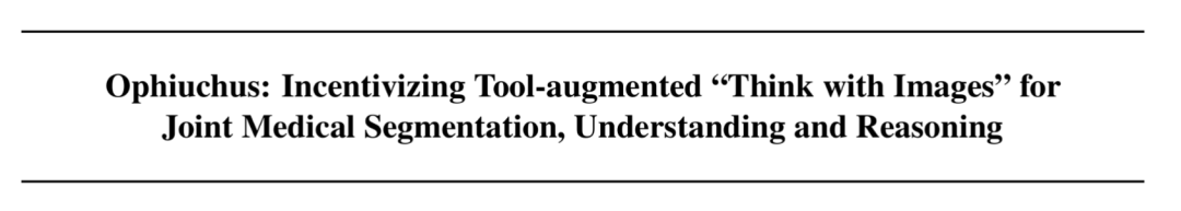 上海创智学院联合多所高校发表两篇ICML 2026论文，提出医学AI“Think with Images/Videos”范式  第1张
